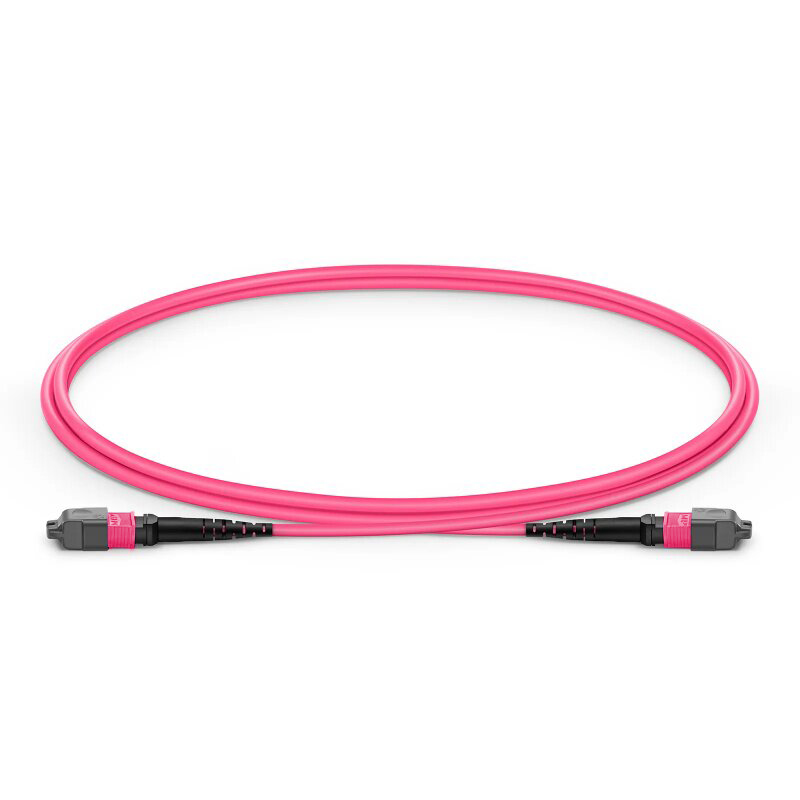12F MTP® Trunk Cable UPC(Female)-UPC(Female) OM4 0.6dB Max LSZH Rose Pink Jacket
